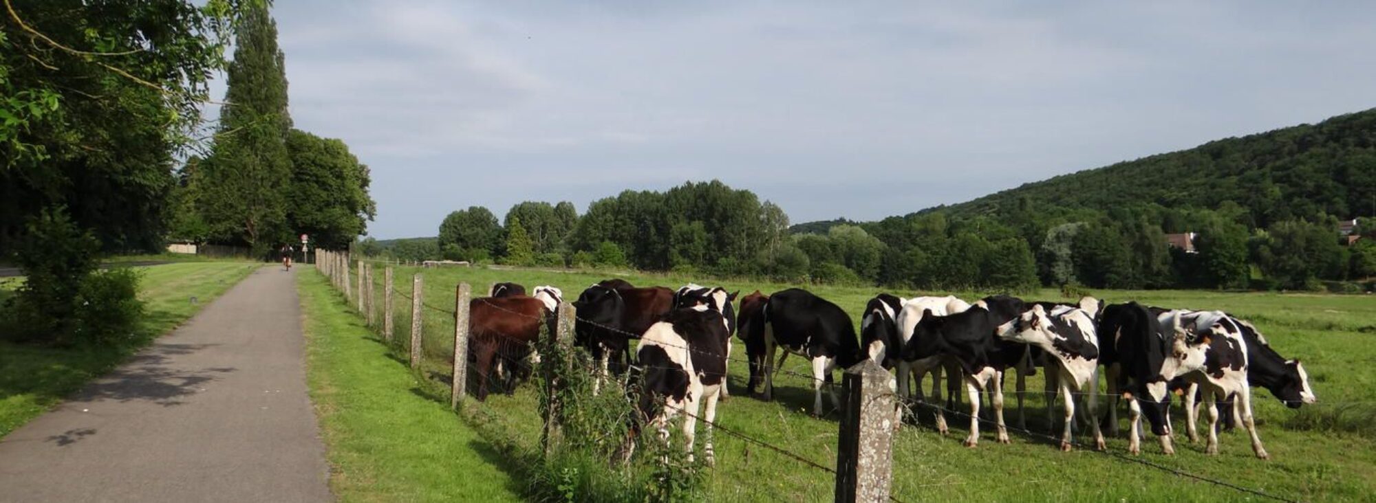 Parc naturel Régional de la Haute