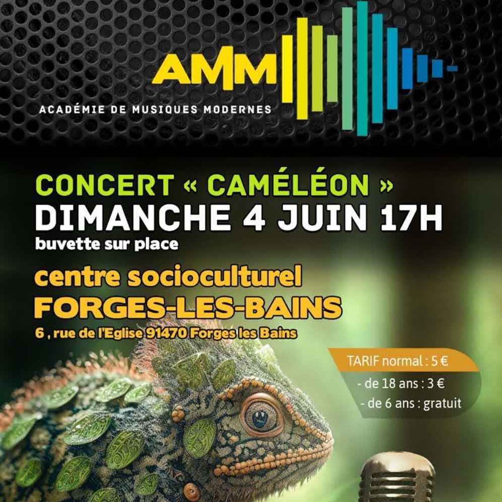 concert cameleon AMM